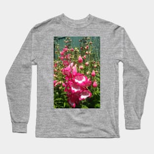 Pink Penstemon Flower Long Sleeve T-Shirt